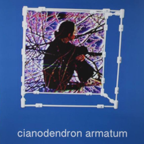 Cianodendron Armatum | video